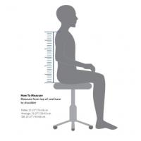 Therapeutica Spinal Back Support - Tall