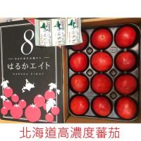 日本直送 北海道高濃度蕃茄 禮盒裝9至15個