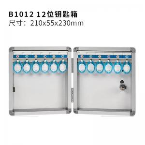 AutoMax 12條 鎖匙箱  掛牆式 鎖匙櫃 21X23X5.5cm